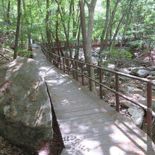 木道の散策路もあります