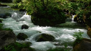 新緑に包まれた奥入瀬渓流