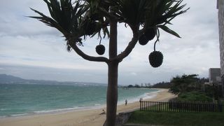 海水浴場のある公園です
