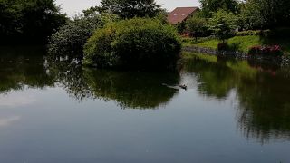 湧水池の公園