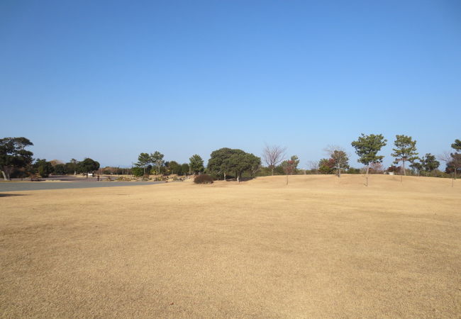 広大な芝生広場