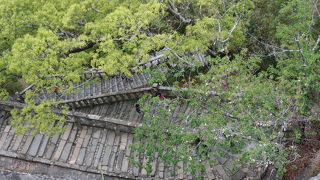 上る気がしません