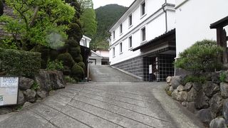 酒蔵見学もできる