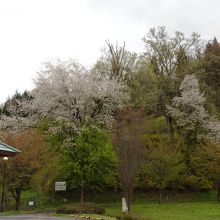 公園が隣接