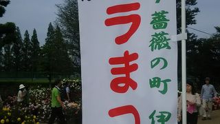 バラの種類とカラーが豊富