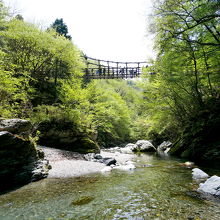 男橋