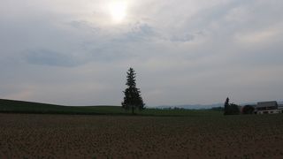 ツリーに見えます