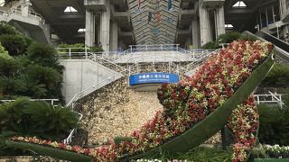 日本で最も人気のある水族館。海洋博跡地の一角に整備されており、一帯には、熱帯ドリームセンター、海洋文化館等のアミューズメント施設も。