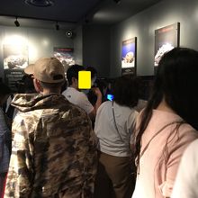 ジンベイザメを眺める気力も無くなるほど観光客が溢れ返っていた