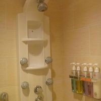 最初操作に手こずるけど、シャワーは楽しめた。