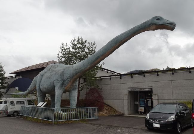 信州新町化石博物館 クチコミ アクセス 営業時間 長野市 フォートラベル 信州新町化石博物館 クチコミ アクセス 営業時間 長野市 フォートラベル