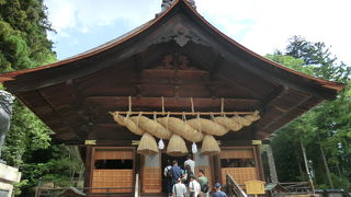 ぜったいです。