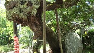 両詣りしましょう