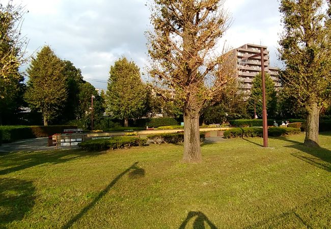 仙川平和公園 クチコミ アクセス 営業時間 吉祥寺 三鷹 フォートラベル