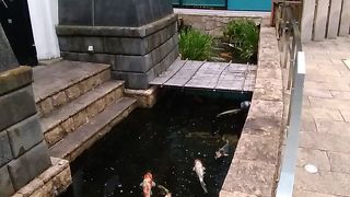 蘆花恒春園へ行く途中に絶対寄りたい場所