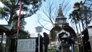 迫力あるお顔だわー