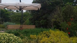 お花もプールも