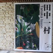 奄美の自然を描いた画家、田中一村の作品を常設展示する美術館。