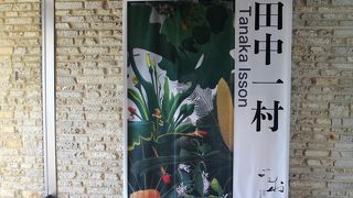 奄美の自然を描いた画家、田中一村の作品を常設展示する美術館。