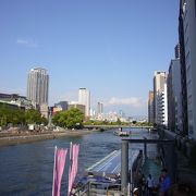 水上から大阪の街を眺められます