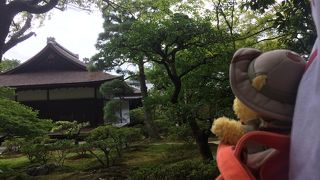 見とれました。