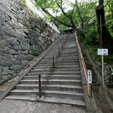 最後の還暦厄除坂