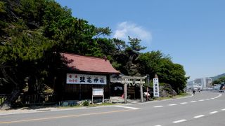洞窟の中の神社　かつての和歌の浦の地形がしのばれる