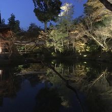 紅葉の時はもっと素晴らしいです。