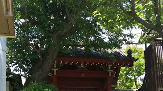 頑丈な造りです