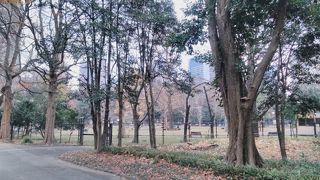 公園の西の部分に広がっていて各種運動器具が完備