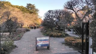 個人的には、梅園が花のいっぱいな時にお気に入り