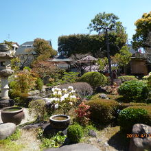 手入れされたお庭。