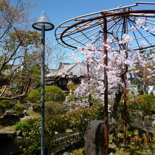 綺麗なお庭でした。