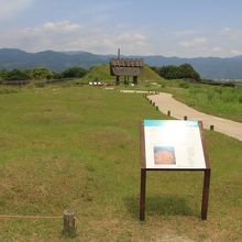 これもお墓です