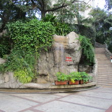 九龍公園百鳥苑