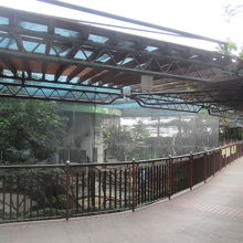 九龍公園百鳥苑