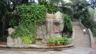 朝の九龍公園百鳥苑