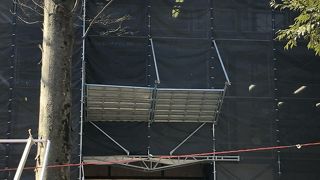 大國魂神社の敷地内にあります