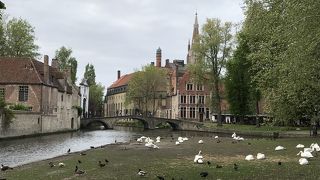 白鳥さん可愛い