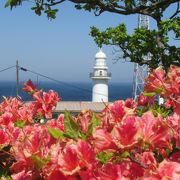青い噴火湾を望む白亜の灯台