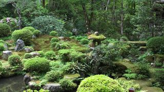 聚碧園＆有清園