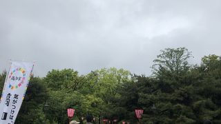 美しい石垣と天守