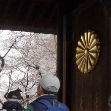 神門の特徴は 大きな菊の御紋です By 元カニ族 靖国神社 神門のクチコミ フォートラベル 神門の特徴は 大きな菊の御紋です By 元カニ族 靖国神社 神門のクチコミ フォートラベル
