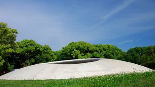 水君達を飽かずに眺めていられる、静謐で気持ちいい空間