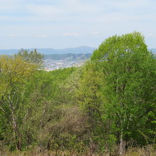 展望台からの北見市街地