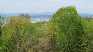 きらびやかな感じではないので注意