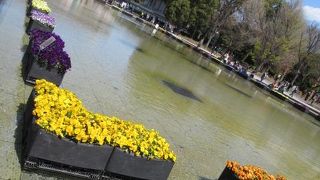 心癒される場所です