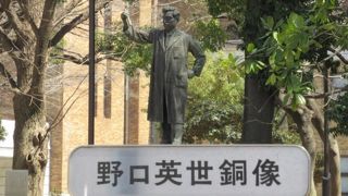 試験管を掲げた偉大な人物なのよ