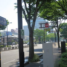 街路樹のケヤキが仙台らしい雰囲気です