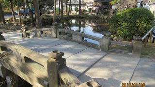 シラサギが舞い降りると美しい